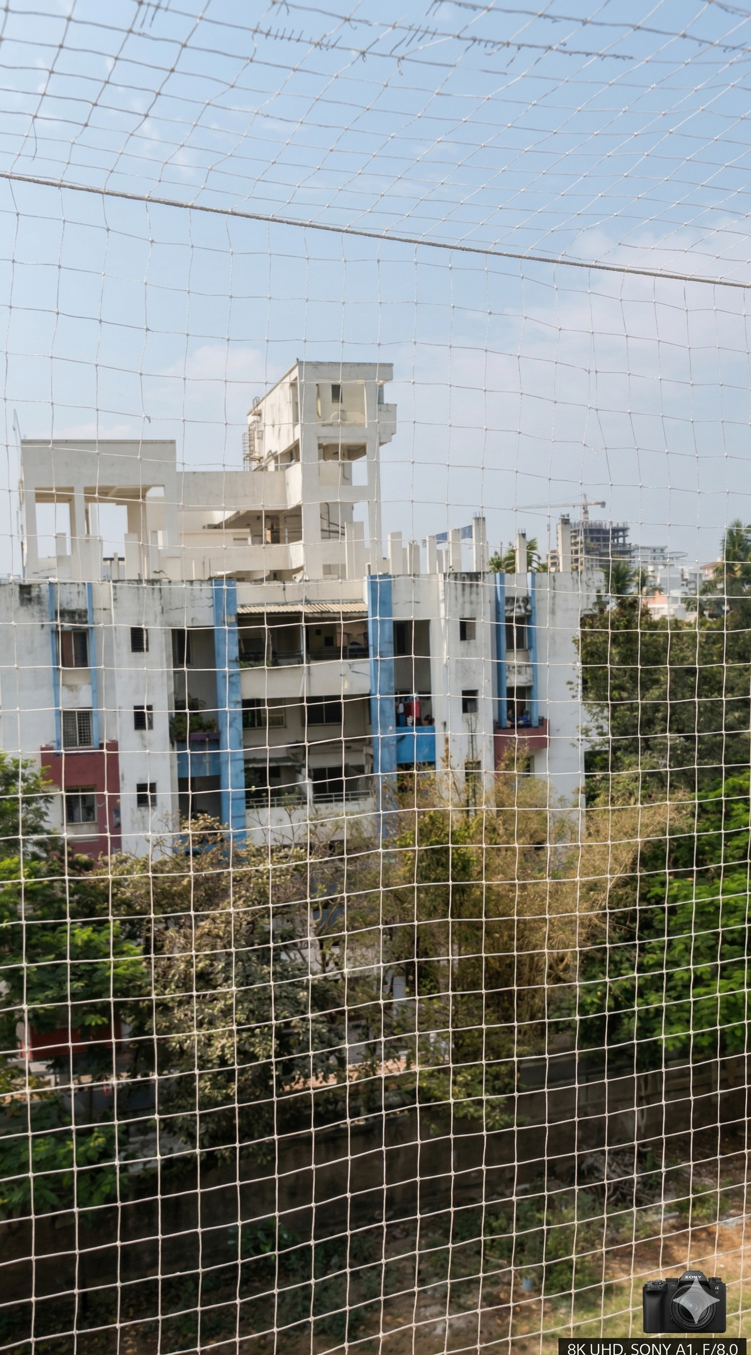 Bird Net Installation Pune